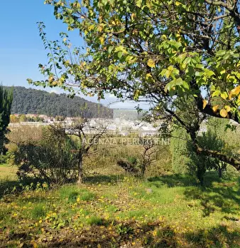Foto annuncio 12