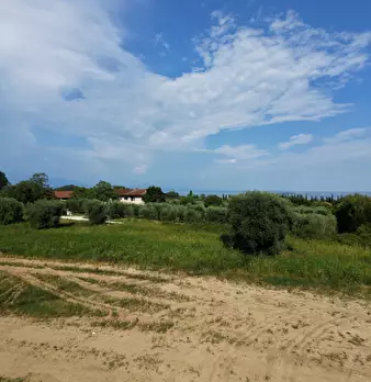 Foto annuncio 26