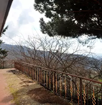 Foto annuncio 27