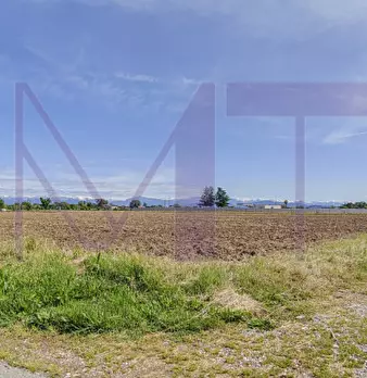 Foto annuncio 12