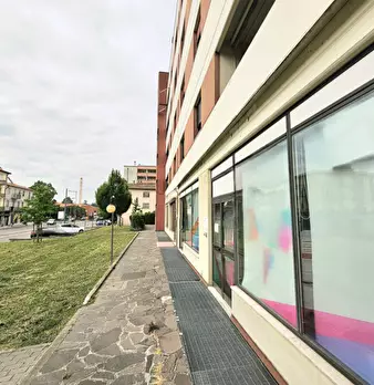 Foto annuncio 6