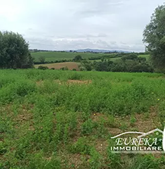 Foto annuncio 8