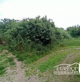 Foto annuncio 11