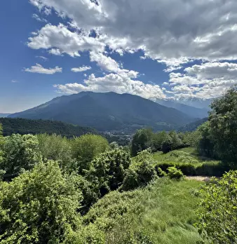 Foto annuncio 25
