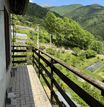 Foto annuncio 28