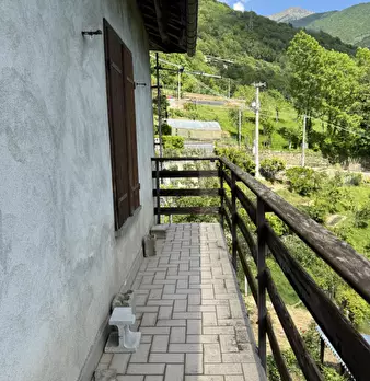 Foto annuncio 31