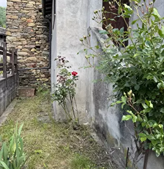 Foto annuncio 32