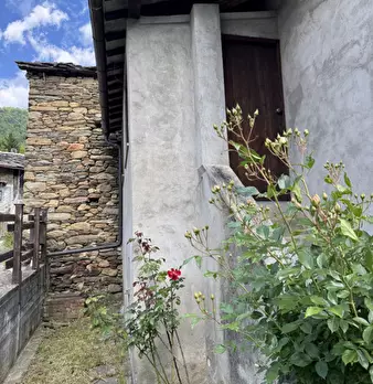 Foto annuncio 33