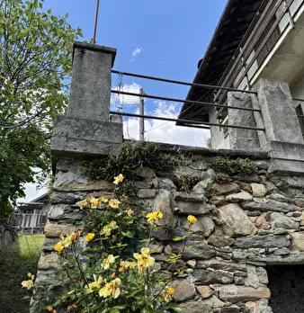 Foto annuncio 44