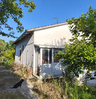 Foto annuncio 3