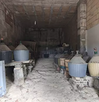 Foto annuncio 20