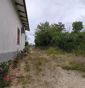 Foto annuncio 22