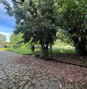 Foto annuncio 8