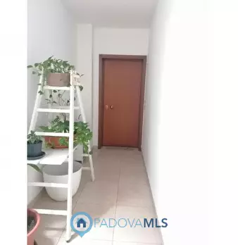 Foto annuncio 19