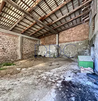 Foto annuncio 24
