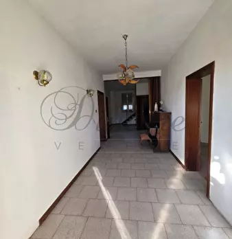 Foto annuncio 21