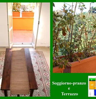 Foto annuncio 8