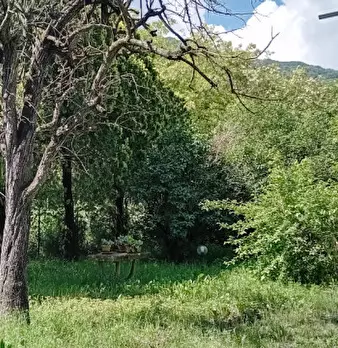 Foto annuncio 6