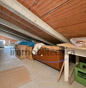 Foto annuncio 14