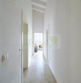 Foto annuncio 33