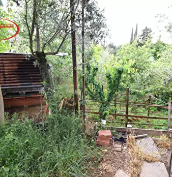 Foto annuncio 26