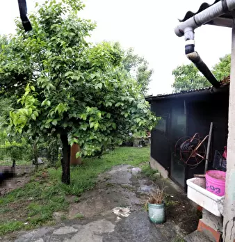 Foto annuncio 27