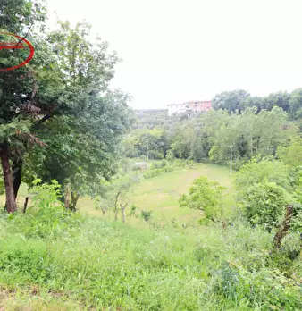 Foto annuncio 38