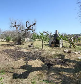 Foto annuncio 9