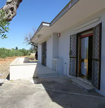 Foto annuncio 11