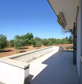 Foto annuncio 12