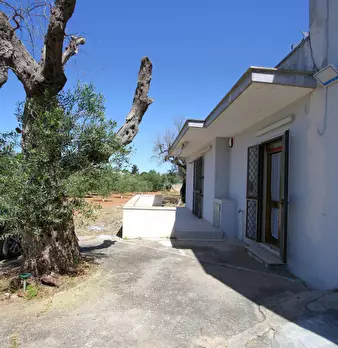 Foto annuncio 29