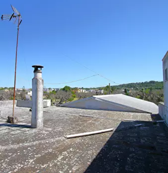 Foto annuncio 31