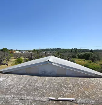 Foto annuncio 34