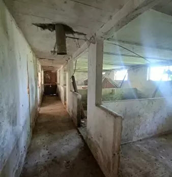 Foto annuncio 4
