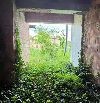 Foto annuncio 36