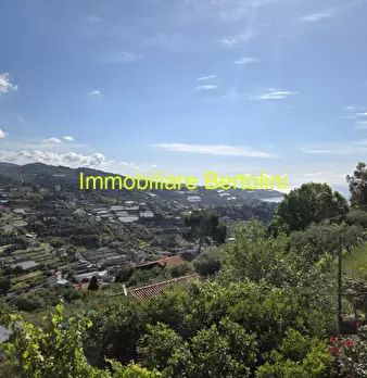Foto annuncio 19