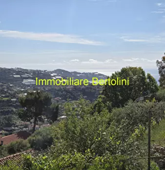 Foto annuncio 20