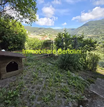 Foto annuncio 34