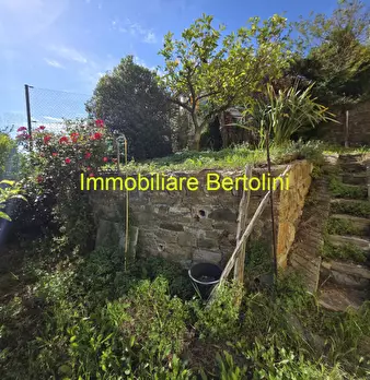 Foto annuncio 37