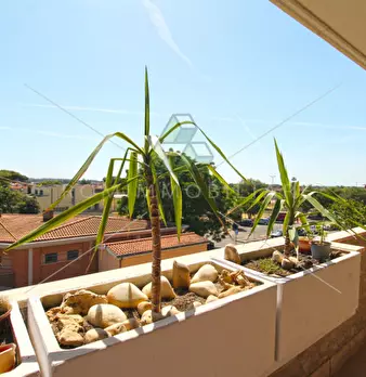 Foto annuncio 19