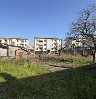 Foto annuncio 2