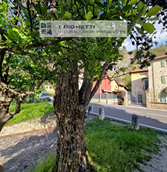 Foto annuncio 47