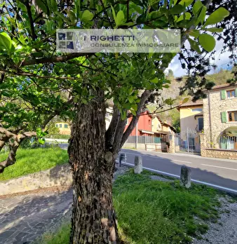 Foto annuncio 48