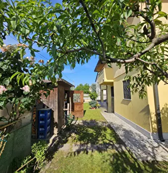Foto annuncio 10
