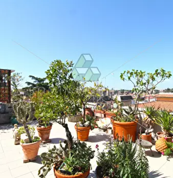 Foto annuncio 25