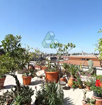 Foto annuncio 26