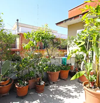 Foto annuncio 31