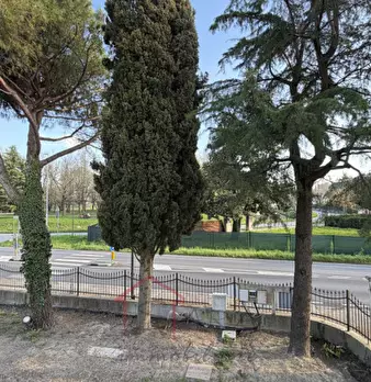 Foto annuncio 17