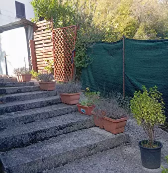 Foto annuncio 15