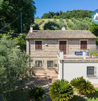 Foto annuncio 2